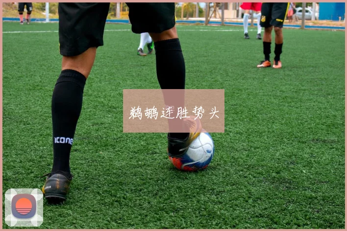 鹈鹕连胜势头