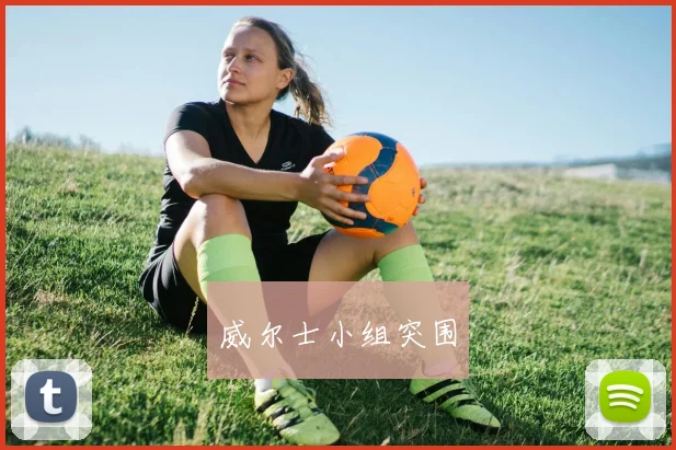 威尔士小组突围