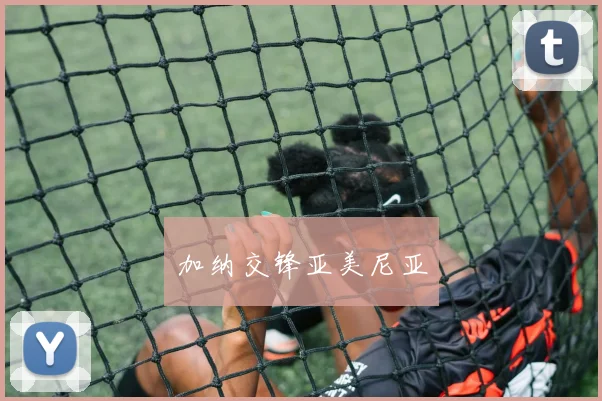 加纳交锋亚美尼亚