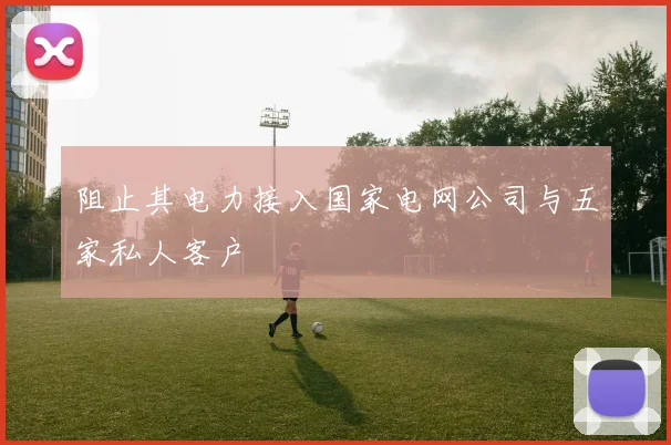 阻止其电力接入国家电网公司与五家私人客户