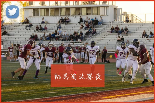 凯恩淘汰赛夜