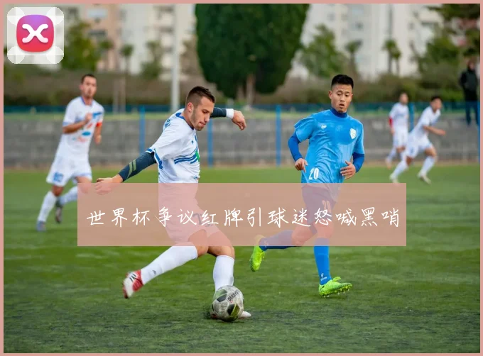 世界杯争议红牌引球迷怒喊黑哨