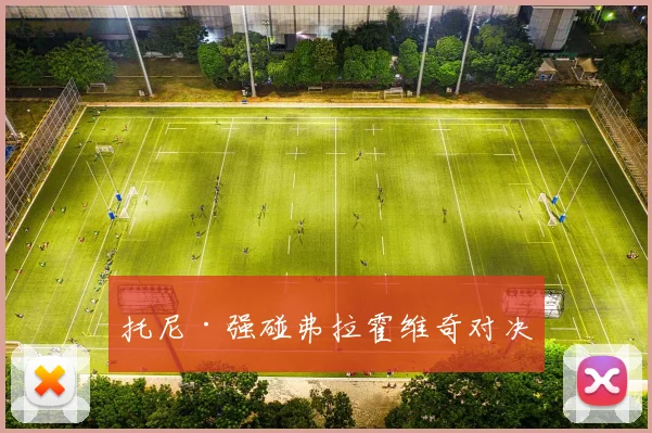 托尼·强碰弗拉霍维奇对决