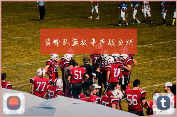 黄蜂队篮板争夺战分析