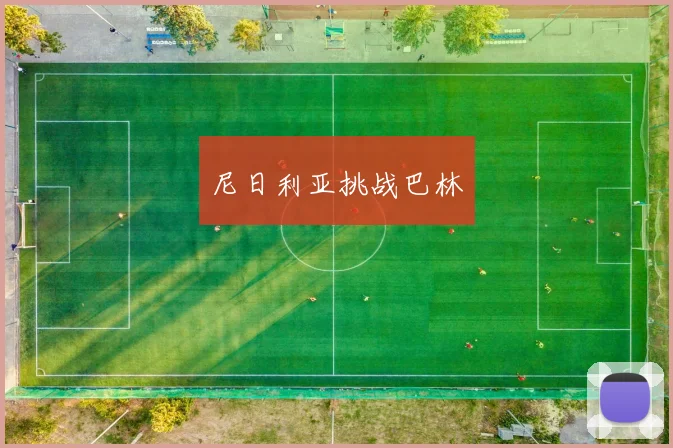 尼日利亚挑战巴林
