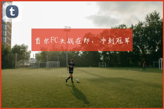 首尔FC决战在即，冲刺冠军