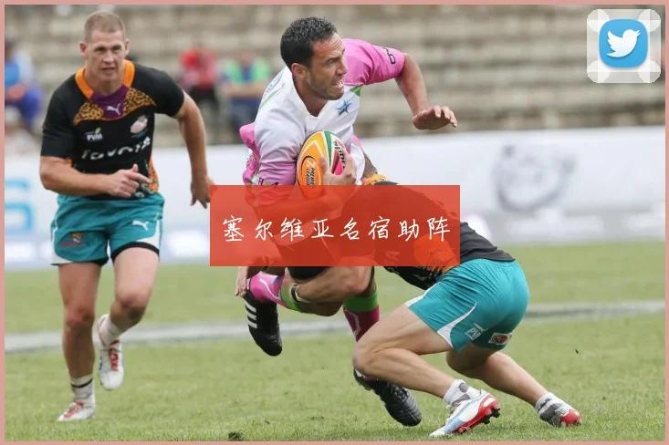 塞尔维亚名宿助阵