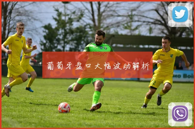 葡萄牙盘口大幅波动解析