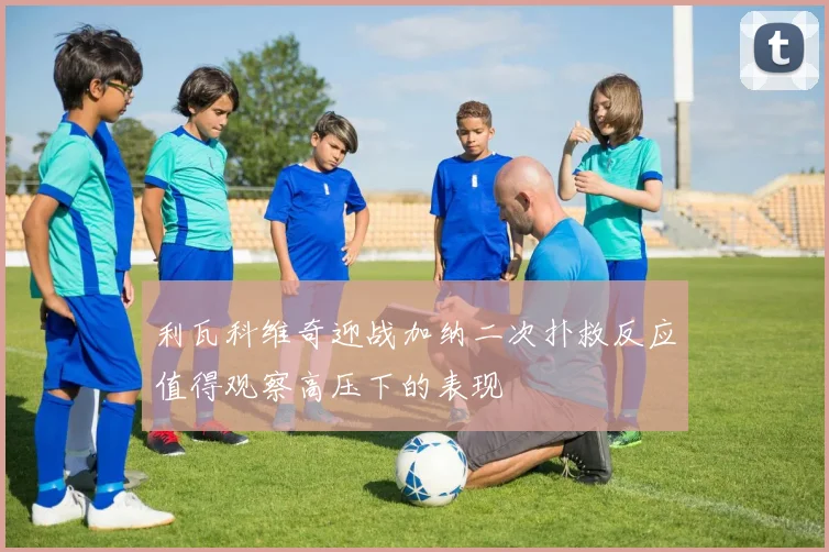 利瓦科维奇迎战加纳二次扑救反应值得观察高压下的表现