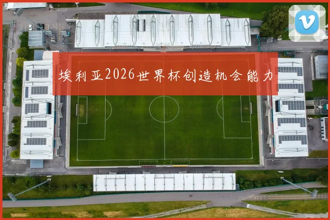 埃利亚2026世界杯创造机会能力