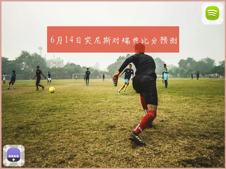6月14日突尼斯对瑞典比分预测