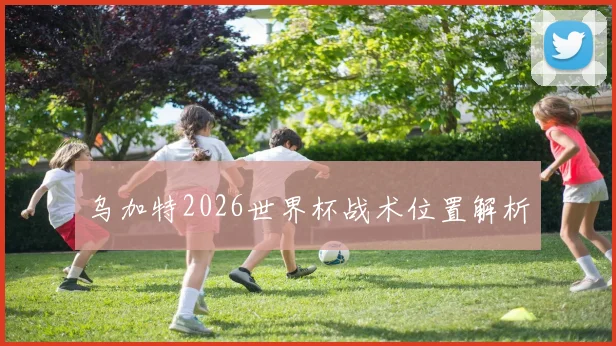 乌加特2026世界杯战术位置解析