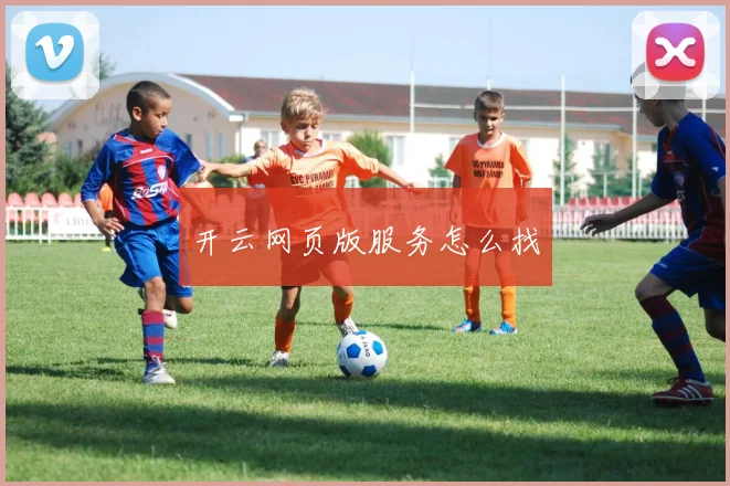 开云网页版服务怎么找