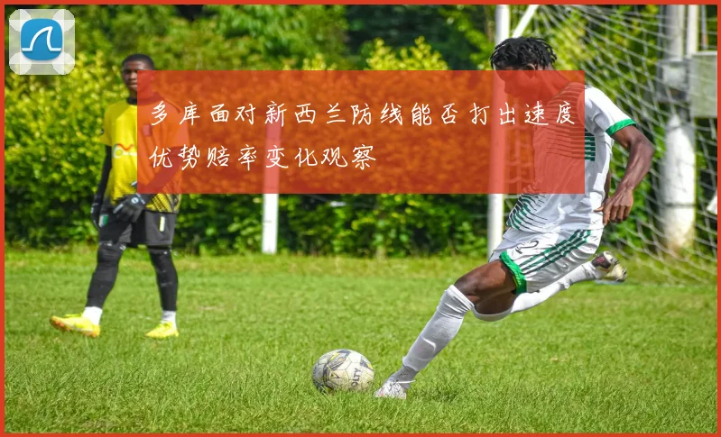 多库面对新西兰防线能否打出速度优势赔率变化观察