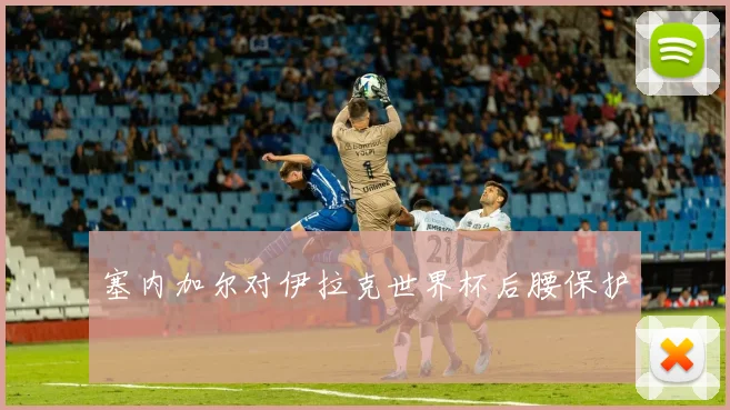 塞内加尔对伊拉克世界杯后腰保护