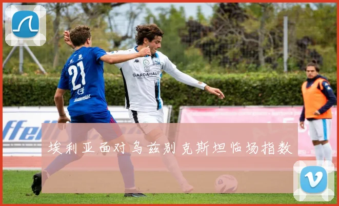 埃利亚面对乌兹别克斯坦临场指数